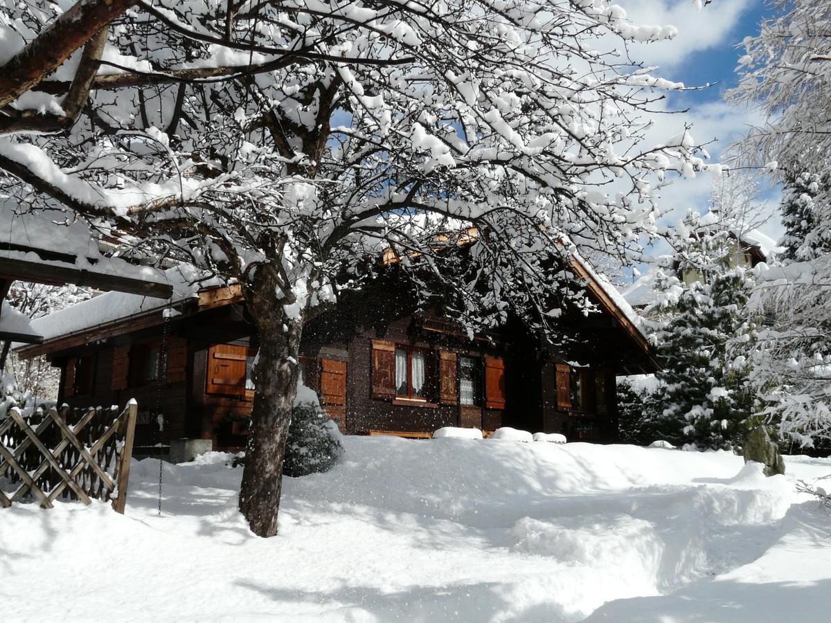 Chalet Des Glaciers Chamonix ภายนอก รูปภาพ